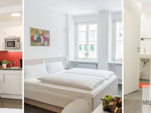 Studio zur Miete 990 € 1 Zimmer 30 m² 2. Geschoss frei ab sofort Lorenz Nürnberg 90402