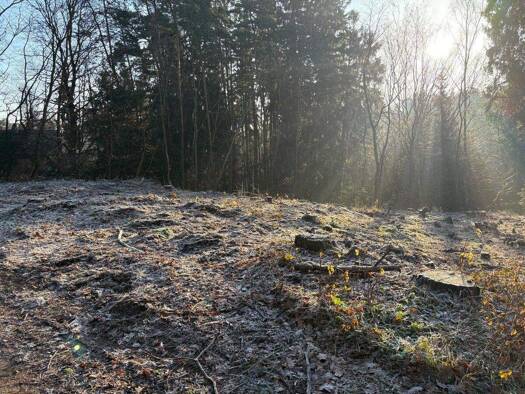 Grundstück zum Kauf 207.000 € 690 m² Grundstück Burgthann 90559