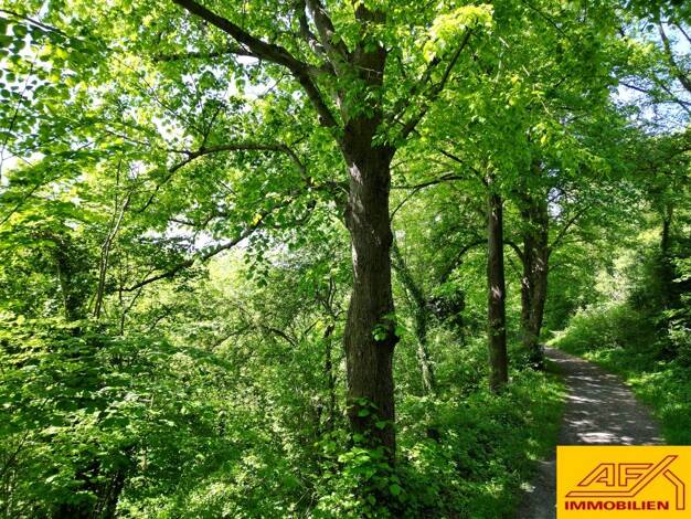 Freizeitgrundstück zum Kauf 4.000 € 643 m² Grundstück Arnsberg 59821