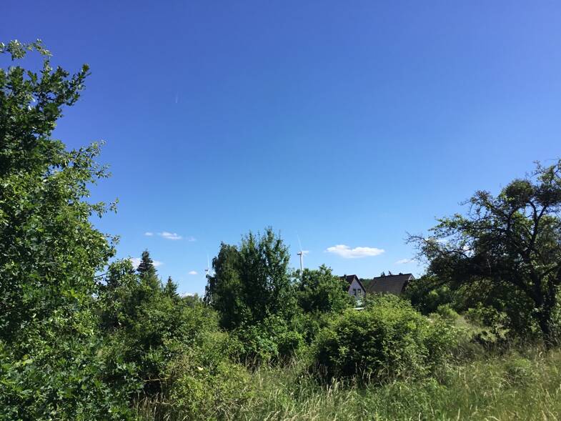 Freizeitgrundstück kaufen in Mühlenbecker Land Mühlenbeck immowelt
