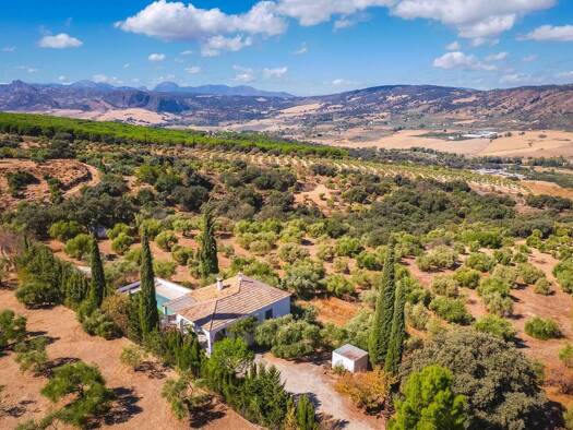 Acker-/Waldstück zum Kauf 495.000 € Ronda 29400