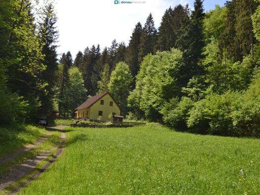Haus zum Kauf 299.000 € 4 Zimmer 159,5 m² 1.051 m² Grundstück Warth 2831