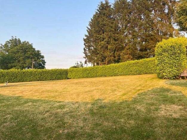 Einfamilienhaus zum Kauf 449.000 € 5 Zimmer 135 m² 1.885 m² Grundstück Pingsdorf Brühl-Pingsdorf 50321