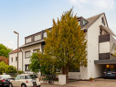 Terrassenwohnung zum Kauf 790.000 € 9 Zimmer 278 m² EG Im Heimgarten 30a Deutenbach Stein 90547