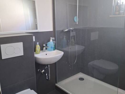 Wohnung zur Miete 725 € 2 Zimmer 55,7 m² EG frei ab 01.01.2027 Maudacher Straße 446 Maudach Ludwigshafen am Rhein 67065