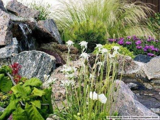 Grundstück zum Kauf 99.000 € 910 m² Grundstück Vinningen 66957