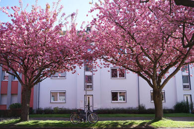 Wohnung zum Kauf 275.000 € 4 Zimmer 110 m² Bockum Krefeld / Bockum 47800