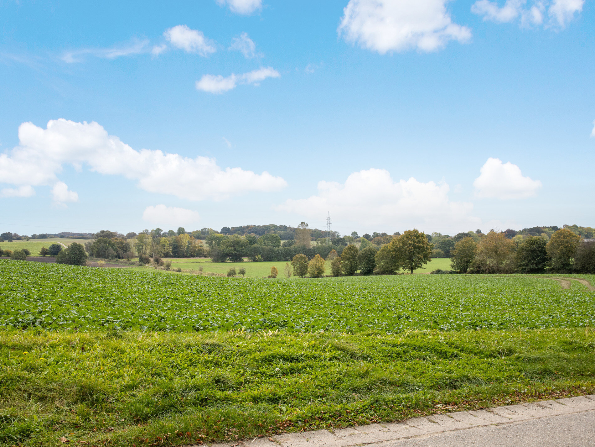 Werkstatt zum Kauf 129.000 € 30 m²<br/>Lagerfläche Esgrus Esgrus / Wippendorf 24402