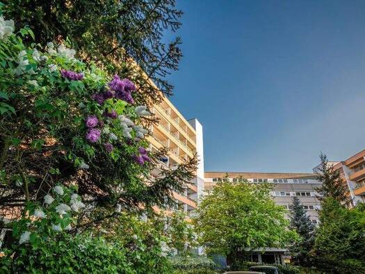 Wohnung zur Miete 359 € 1 Zimmer 42,8 m² 1. Geschoss Ortolanweg 52 Buckow Berlin 12359