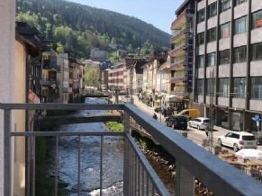 Wohnung zur Miete 550 € 3 Zimmer 60,5 m² 2. Geschoss frei ab sofort Mühlegasse 37 Bad Wildbad 75323