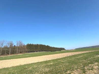 Land-/Forstwirtschaft zum Kauf 249.000 € 54.883 m² Grundstück Kirchhaslach Kirchhaslach / Herretshofen 87755