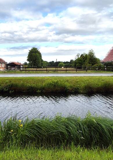 Grundstück zum Kauf 148.000 € 5.902 m² Grundstück Ostrhauderfehn Ostrhauderfehn 26842