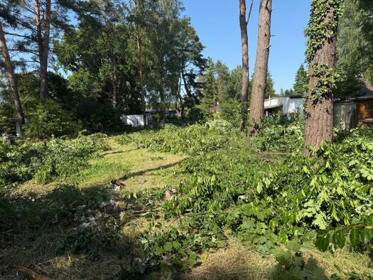 Grundstück zum Kauf 144.000 € 556 m² Grundstück Hangelsberg Grünheide (Mark) 15537