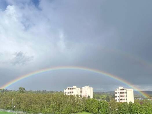 Wohnung zur Miete 1.000 € 3 Zimmer 77 m² Geschoss 7/18 frei ab sofort Am Rüppurrer Schloss 5 Rüppurr Karlsruhe 76199