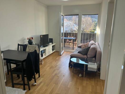 Wohnung zur Miete 505 € 2 Zimmer 38 m² 2. Geschoss Grafenbergstraße Gösting Graz 8051