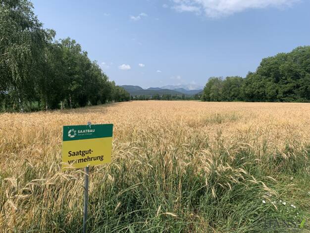 Land-/Forstwirtschaft zum Kauf 1.980.000 € 314.000 m² Grundstück Willendorf 2732