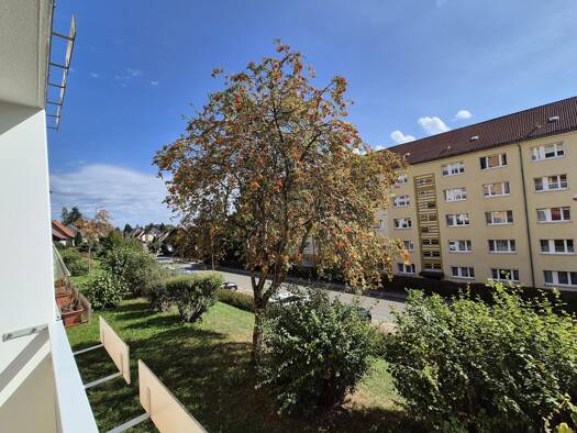 Wohnung zur Miete 292 € 2 Zimmer 49,5 m² Geschoss 1/5 frei ab sofort Fritz-Heckert-Siedlung 51 Hohenstein-Ernstthal Hohenstein-Ernstthal 09337