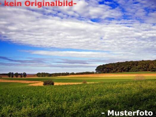 Land-/Forstwirtschaft zum Kauf Hainsfarth Hainsfarth 86744
