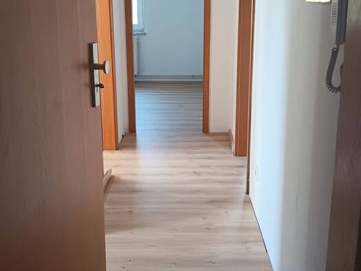 Wohnung zur Miete 245 € 2 Zimmer 45 m² Geschoss 2/3 frei ab sofort Großpaschleben Osternienburger Land 06386