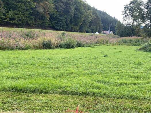 Grundstück zum Kauf 80.000 € 808 m² Grundstück Kirchschlag in der Buckligen Welt 2860