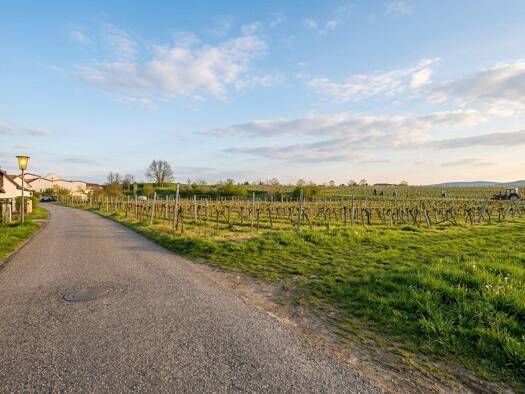 Grundstück zum Kauf 130.000 € 533 m² Grundstück Straß im Straßertale 3491