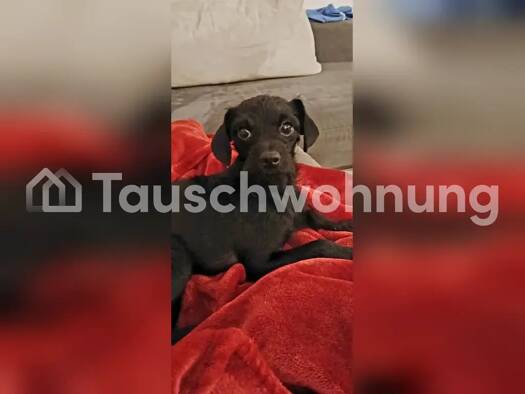 Wohnung zur Miete Tauschwohnung 600 € 3 Zimmer 65 m² Hagsfeld Karlsruhe 76139