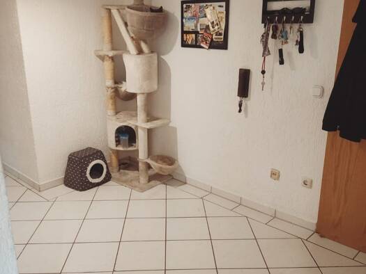 Wohnung zum Kauf 195.000 € 3 Zimmer 87 m² UG Im Wiesgarten Eberstadt Lich 35423