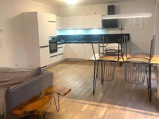 Wohnung zur Miete 730 € 1,5 Zimmer 60 m² UG frei ab sofort Ammerndorf 90614