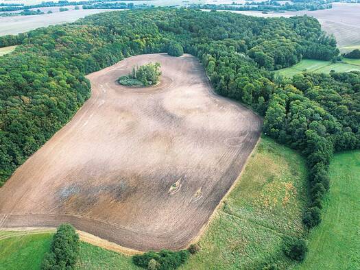 Landwirtschaftliche Fläche zum Kauf 22.500 € 16.700 m² Grundstück Ilow Ilow Neuburg 23974