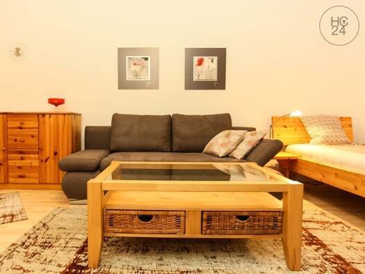 Wohnung zur Miete auf Zeit 750 € 1 Zimmer 27 m² frei ab 01.01.2027 Schleußig Südwest 04229