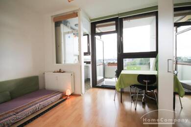 Wohnung zur Miete Wohnen auf Zeit 750 € 1 Zimmer 25 m² frei ab 01.08.2025 Innenstadt Frankfurt 60311