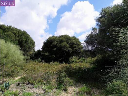 Acker-/Waldstück zum Kauf 100.000 € Barbate 11160