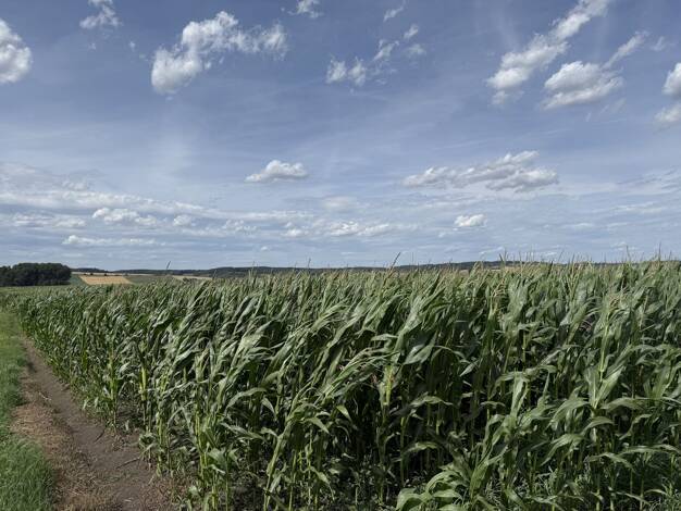 Land-/Forstwirtschaft zum Kauf 9.869 m² Grundstück Loiching
