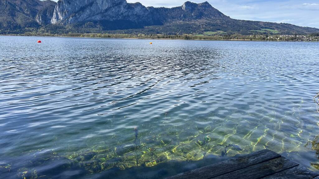 Grundstück zum Kauf 920 m² Grundstück Mondsee 5310