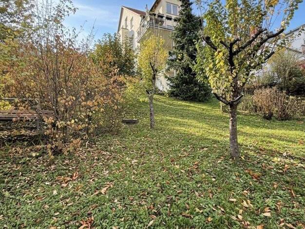 Doppelhaushälfte zum Kauf provisionsfrei 998.000 € 8 Zimmer 241 m² 486 m² Grundstück Holzgerlingen 71088