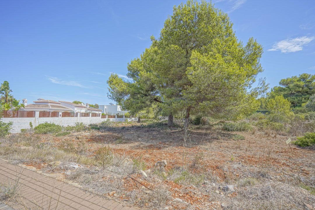 Grundstück zum Kauf 170.000 € 1.000 m²<br/>Grundstück Javea 03730