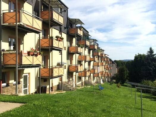 Wohnung zur Miete 290 € 2 Zimmer 52,5 m² 1. Geschoss Weißmühlenweg 14 Falkenstein Falkenstein , Vogtl 08223