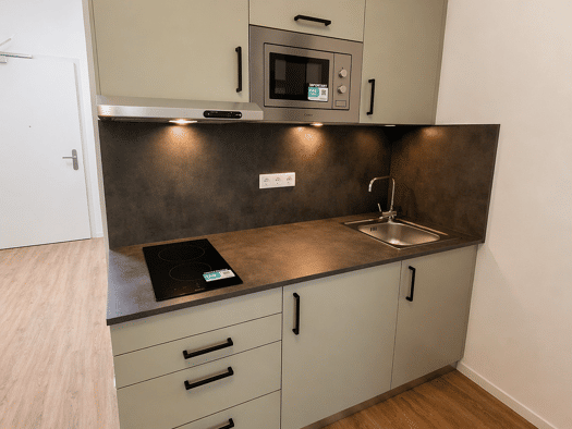 Wohnung zur Miete - Erstbezug 580 € 1 Zimmer 25 m² 2. Geschoss frei ab 01.09.2026 Conradtystraße 1 a Gibitzenhof Südliche Außenstadt 90441