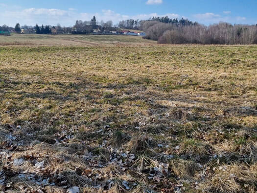 Land-/Forstwirtschaft zum Kauf 65 CZK Halze 34701