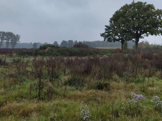 Grundstück zum Kauf 400.000 € 1.075 m² Grundstück Gehrden Winsen 21423