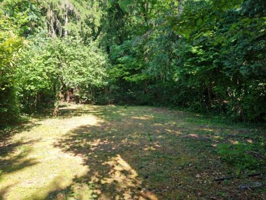 Grundstück zum Kauf 600.000 € 1.116 m² Grundstück Gerlingen 70839