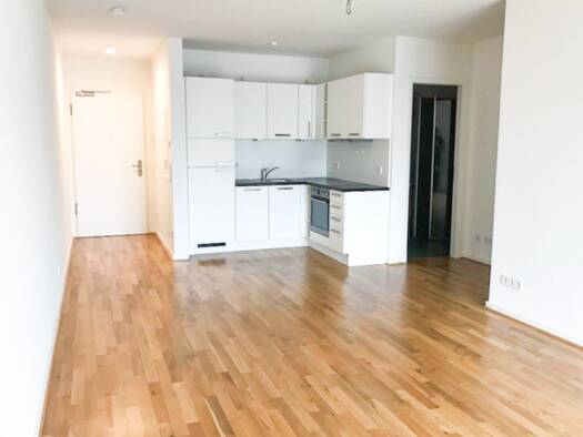 Wohnung zur Miete 700 € 1,5 Zimmer 47,6 m² 2. Geschoss Cottaer Straße 21 Friedrichstadt Ortsamtsbereich Altstadt 01159