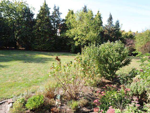 Wohnung zum Kauf 115.000 € 2 Zimmer 56,1 m² Gifhorn 38518