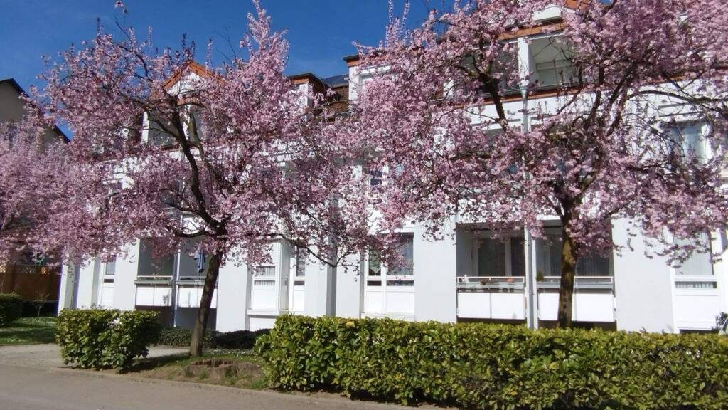 Mehrfamilienhaus zum Kauf als Kapitalanlage geeignet 3.400.000 € 32 Zimmer 751 m² 1.220 m² Grundstück Bad Krozingen 79189