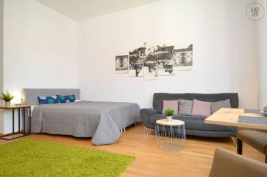 Wohnung zur Miete Wohnen auf Zeit 1.235 € 1 Zimmer 30 m² frei ab 03.08.2025 Donaubastion Ulm 89077