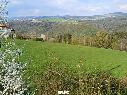 Grundstück zum Kauf 130.000 € 2.320 m² Grundstück Vichtenstein 4091