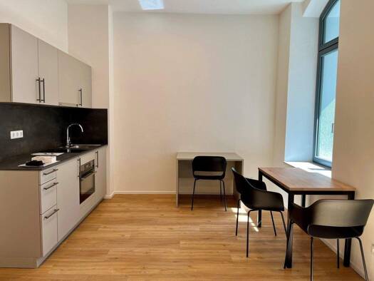 Terrassenwohnung zur Miete 739 € 1 Zimmer 45 m² EG frei ab sofort Leonhardstraße 29 Gostenhof Nürnberg 90443