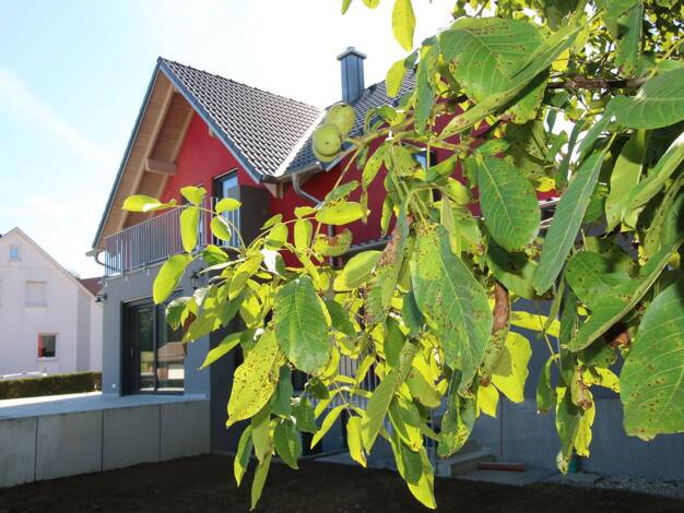 Einfamilienhaus zur Miete - Erstbezug 1.750 € 5 Zimmer 138 m² 923 m² Grundstück frei ab sofort Neukirchen-Balbini 92445