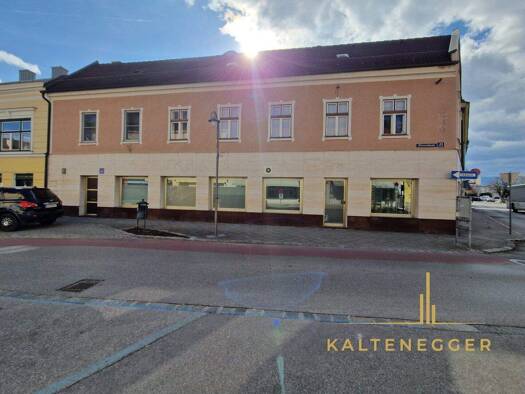 Haus zum Kauf 229.000 € 200 m² 124 m² Grundstück Neunkirchen 2620