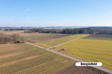 Land-/Forstwirtschaft zum Kauf 24.500 € 8.422 m² Grundstück Altdorf 72655